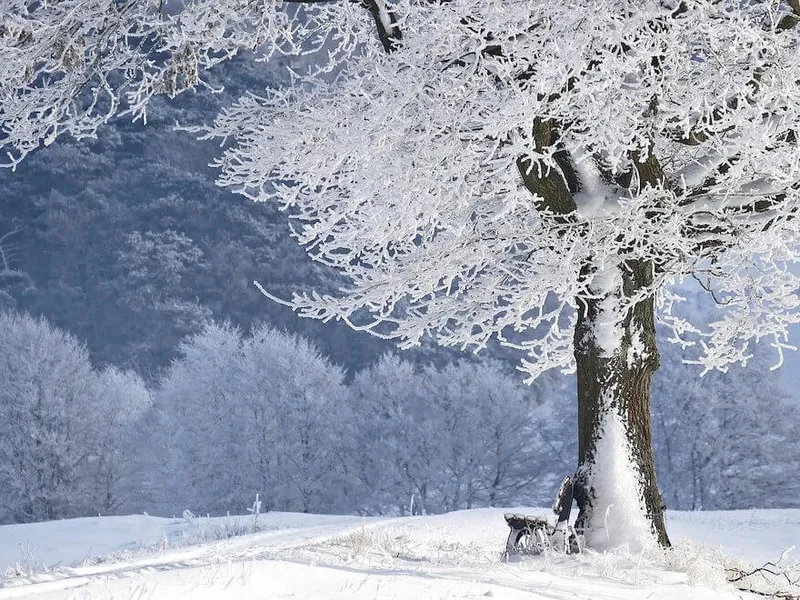 are-winters-getting-warmer