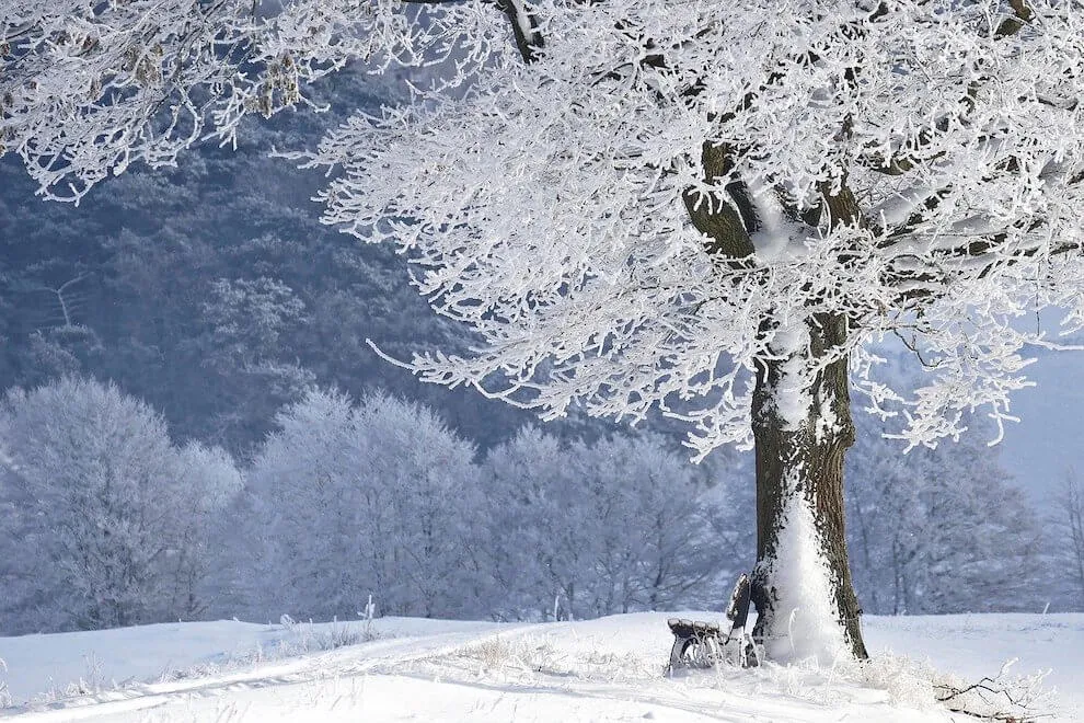 are-winters-getting-warmer