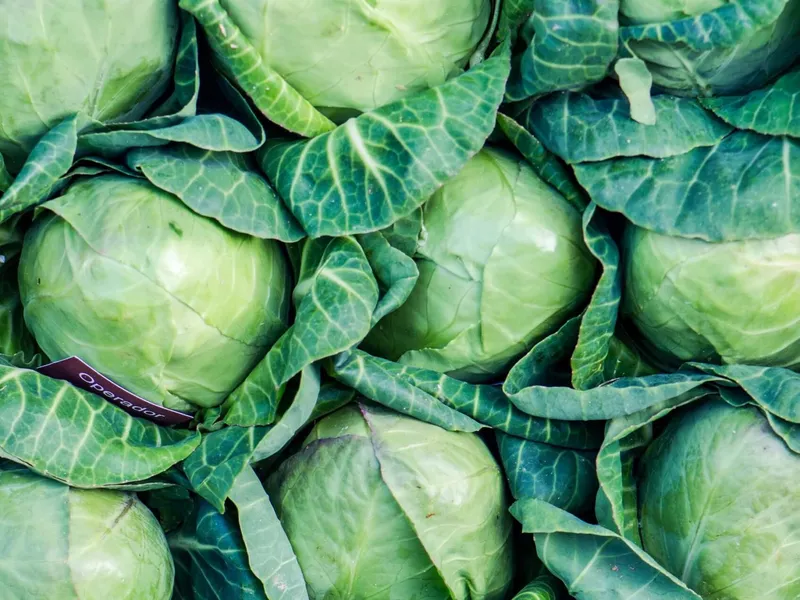 how-to-cook-cabbage-in-air-fryer