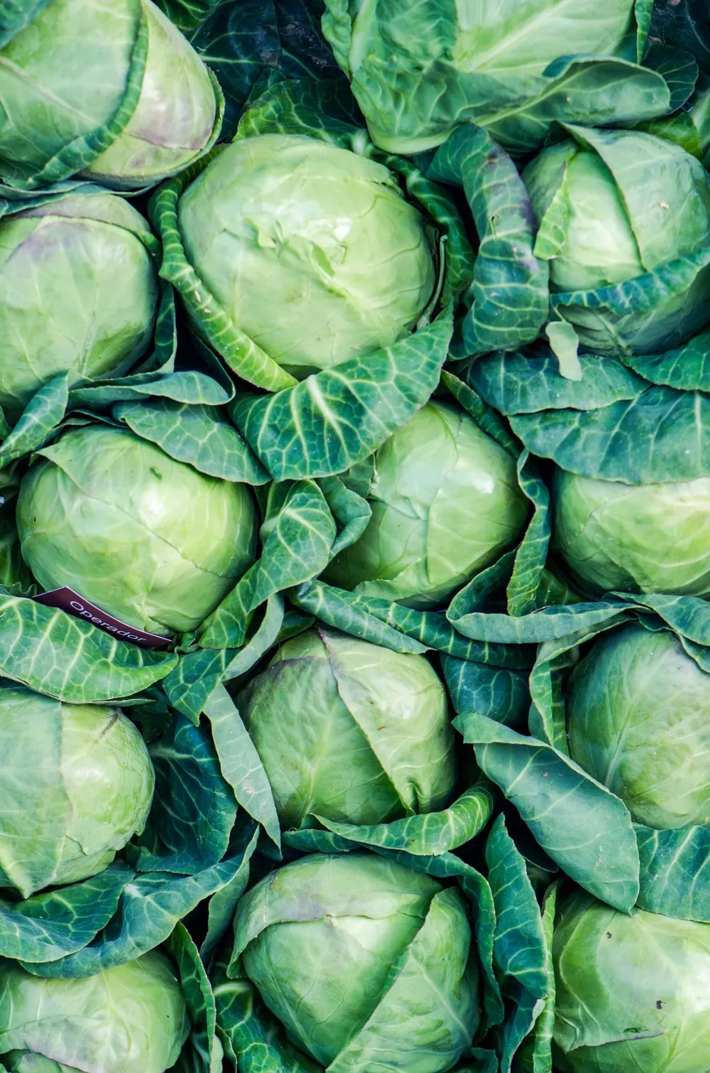 how-to-cook-cabbage-in-air-fryer