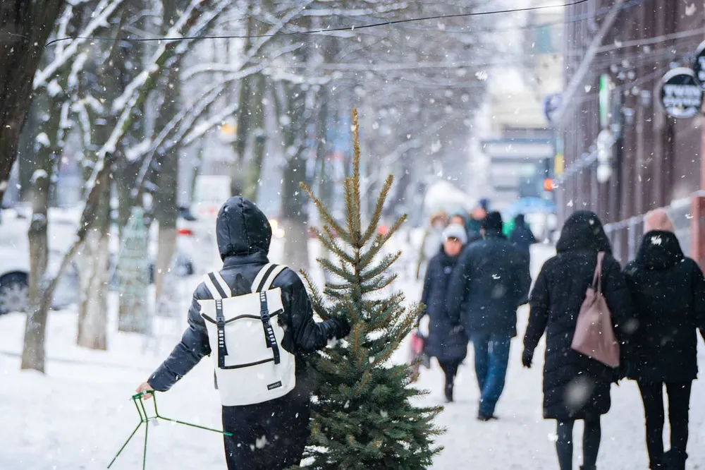 should-you-get-an-artificial-christmas-tree