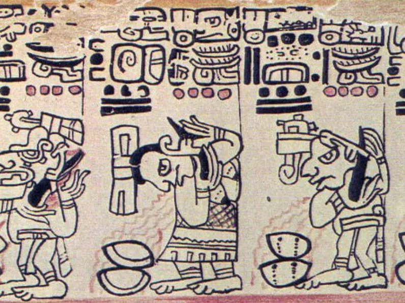 the-dark-history-of-chocolate