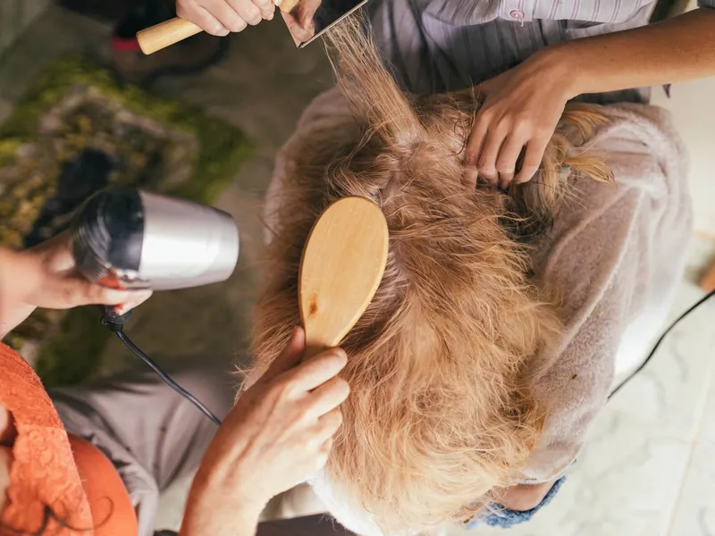 4-basic-dog-grooming-tools