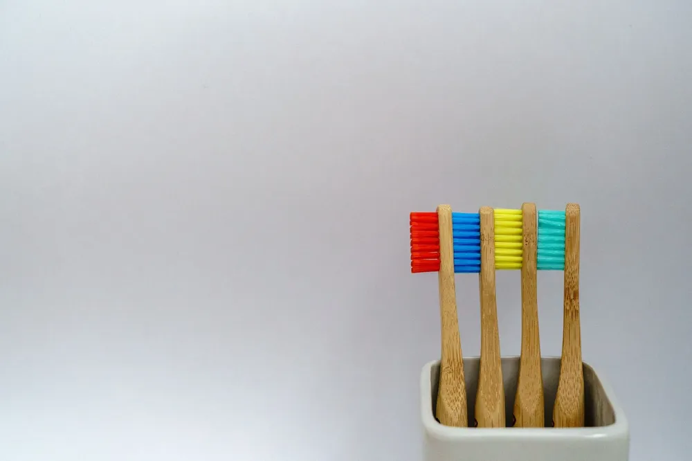 finding-the-best-dog-toothbrush