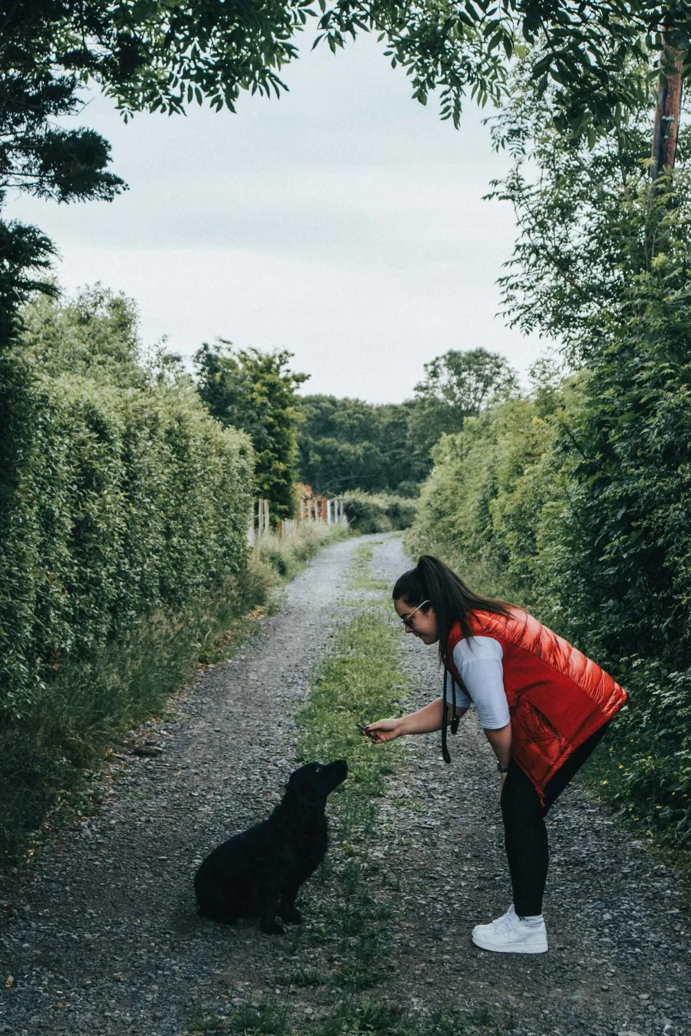 great-dog-treat-bag-to-help-with-training