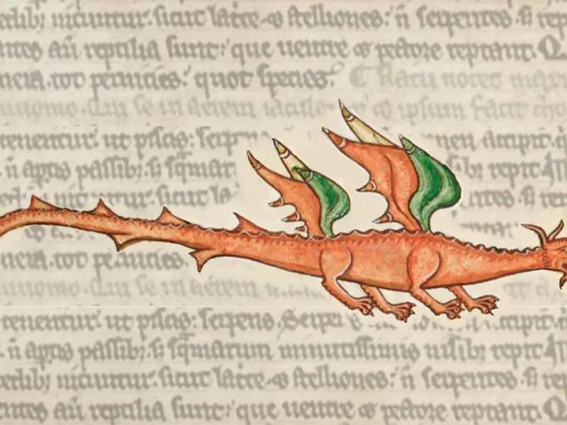 where-do-dragons-come-from