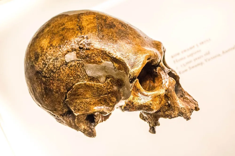 the-hidden-life-of-neanderthals