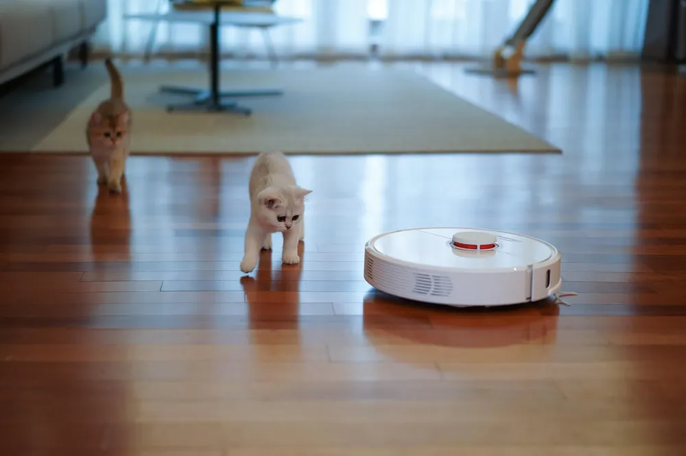 best-hoover-vacuum-cleaner-in-uk-to-deal-with-dog-hair