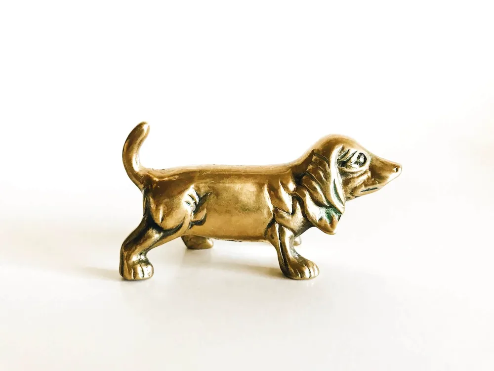 why-do-dogs-wag-their-tails